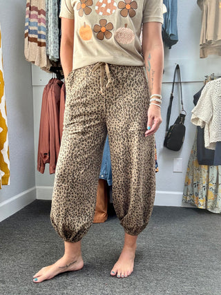 Mocha Animal Printed Pants