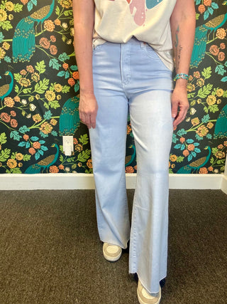 Skyway Blue Fiona Jeans