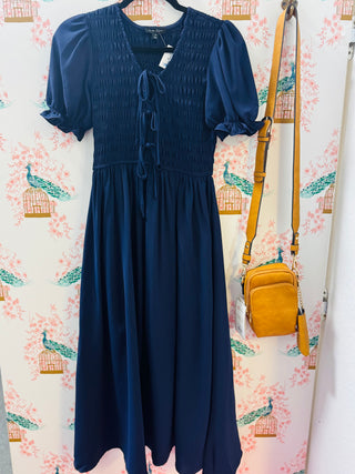 Twirl Navy Dress