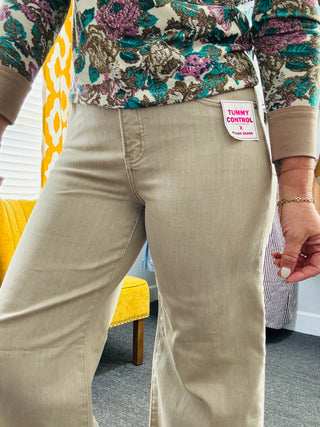 Twinkle Taupe Jeans