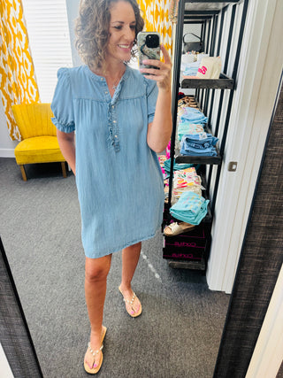 Everyday Denim Dress